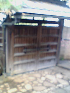 �~�J�p�񎩑�摜