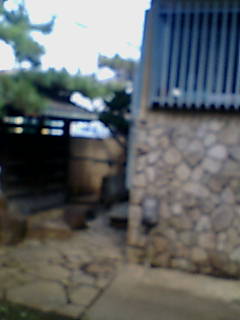 �~�J�p�񎩑�摜