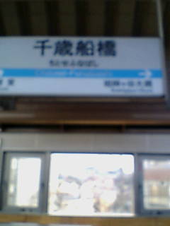 ��ΑD���w�摜