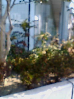 �~�J�v���摜