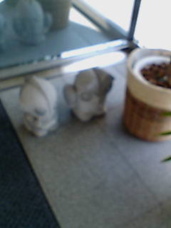 �~�J�v���摜