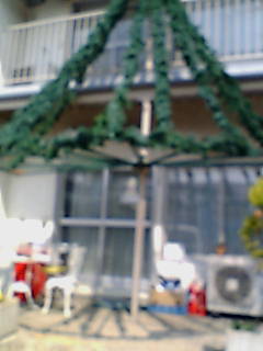 �~�J�f���摜